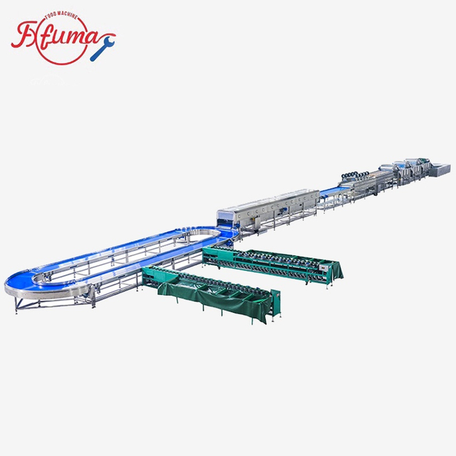 Sweet Potato Washing Cleaning Drying Soritng Solution Processing Line