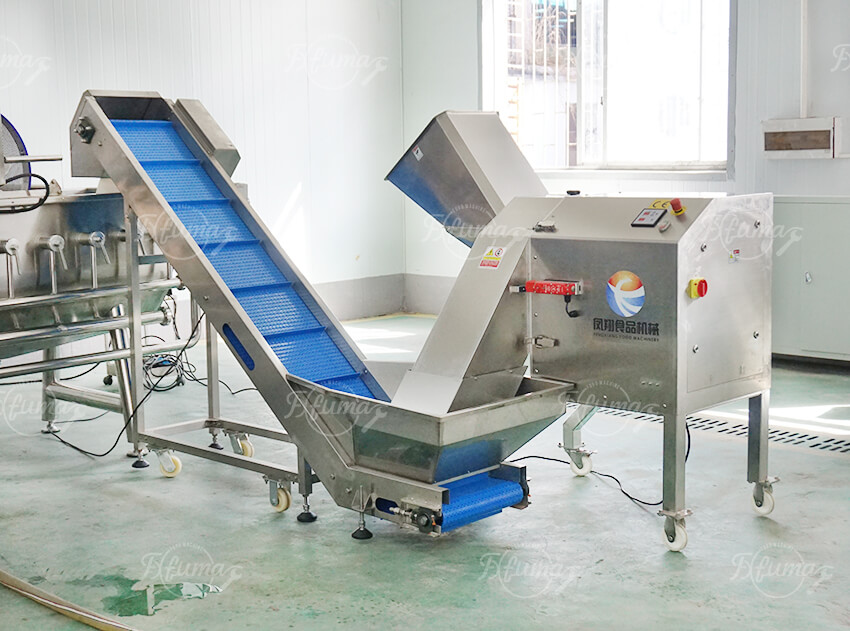 Industrial Cabbage Processing Line: Dicing, Vortex Washing & Centrifugal Drying