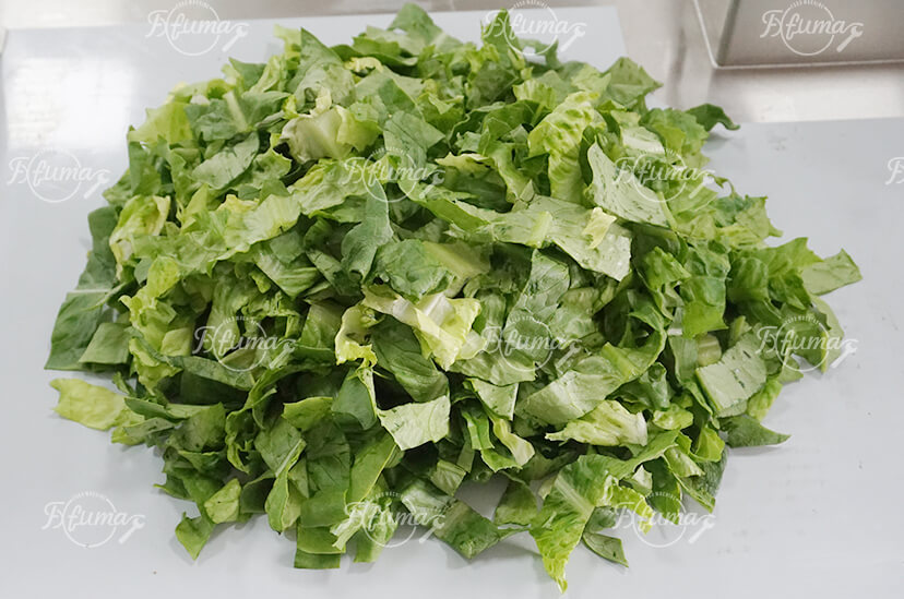 Fresh Leafy Greens Vegetable Salad Production Line