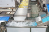 Automatic Potato Washing and Peeling Line for Industrial Potato Processing