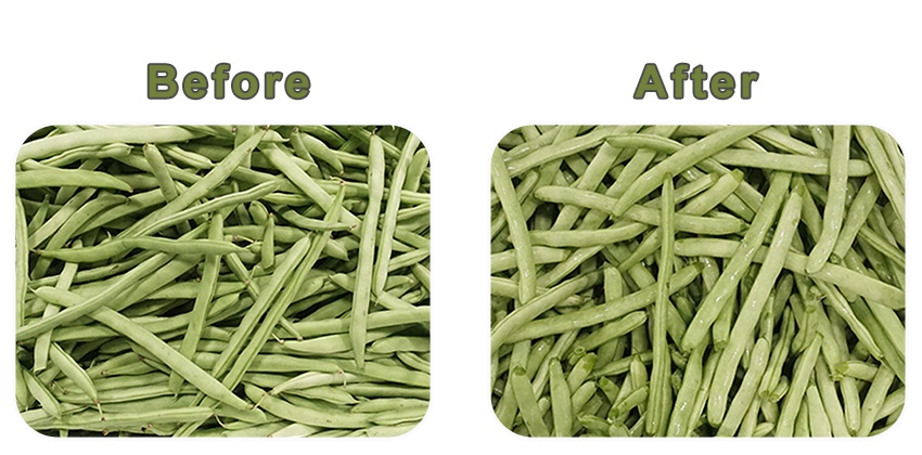 commercial green bean processing equipment