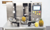 Automatic Pineapple Peeling, Coring and Cutting Machine for Industrial Processing