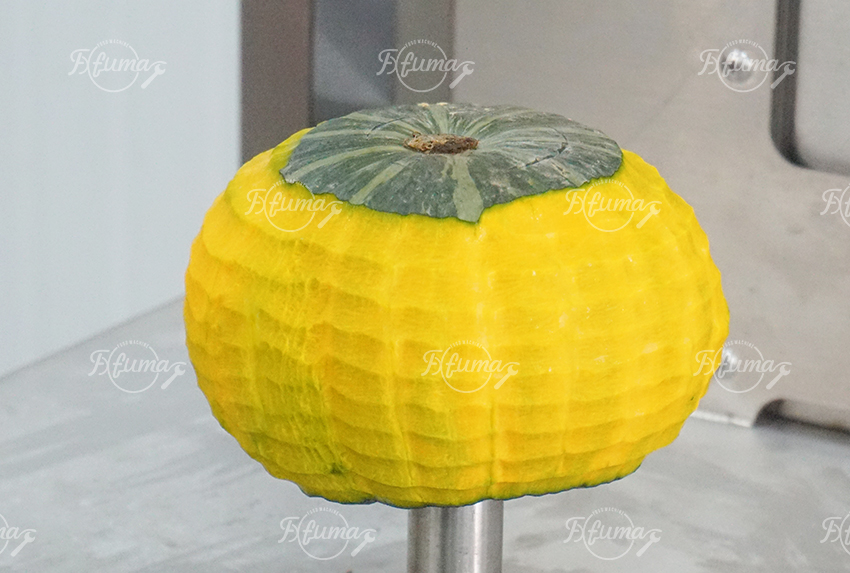 Fruit Vegetable Pineapple Jackfruit Pumpkin Peeling Machine