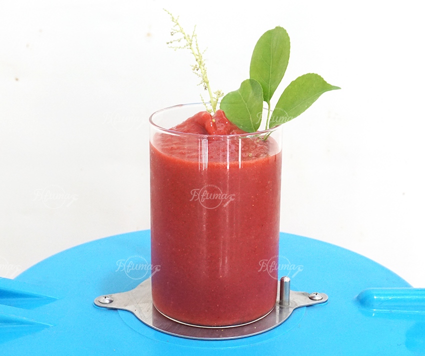 FC-310 Vegetable And Fruit Extractor Machine Blender Spinach Juice Crusher Machine
