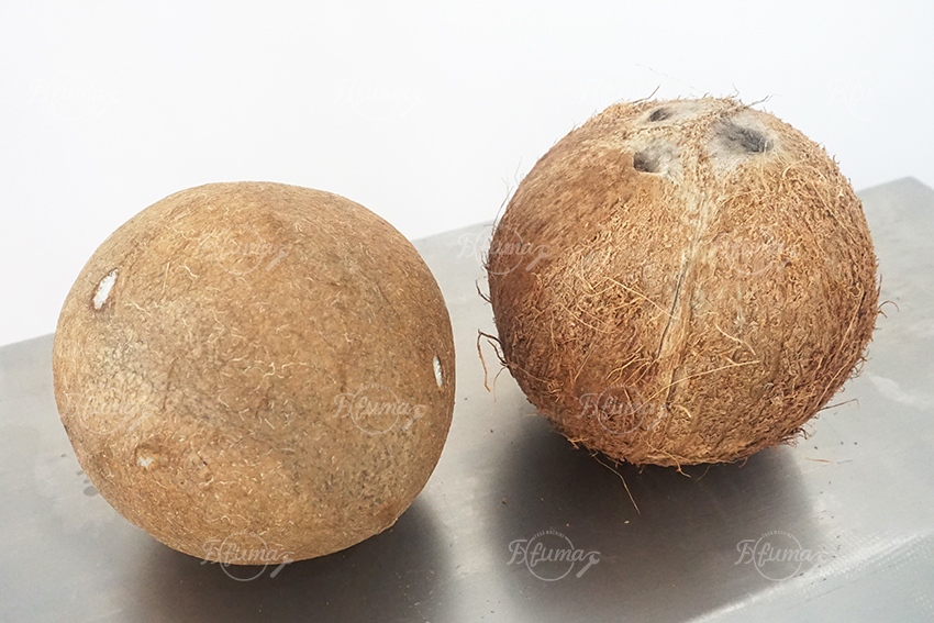 Double-Head Coconut De Husking Shell Removing Machine