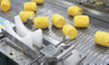 Pineapple Processing Line for Dried Fruit Production, Peeling, Cutting & Drying Solution