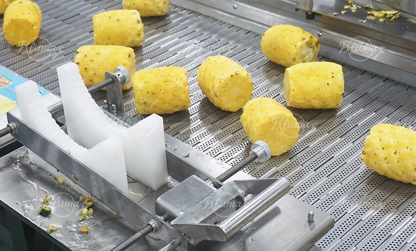 Pineapple Processing Line for Dried Fruit Production, Peeling, Cutting & Drying Solution
