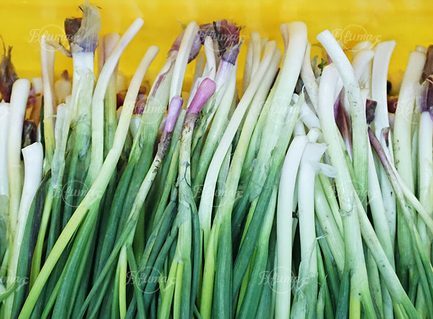 Scallion Green Onion Pneumatic Skin Peeling Machine
