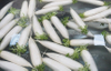 White Radish Carrot Root Vegetable Washing Cleaning Machine