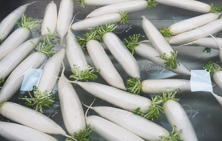 White Radish Carrot Root Vegetable Washing Cleaning Machine