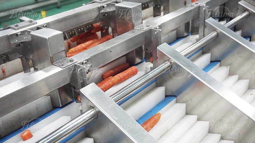 baby carrot production cutting machine