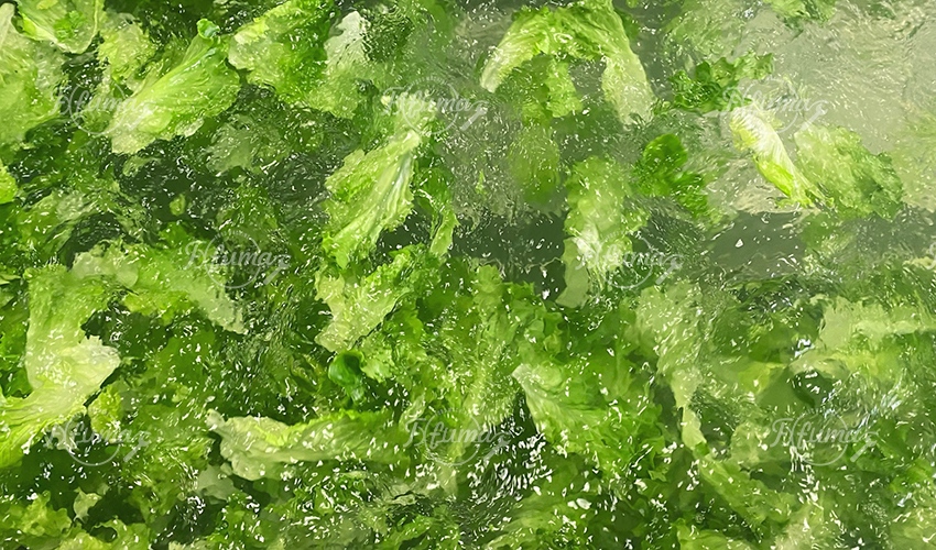 沙拉清洗机-3福马