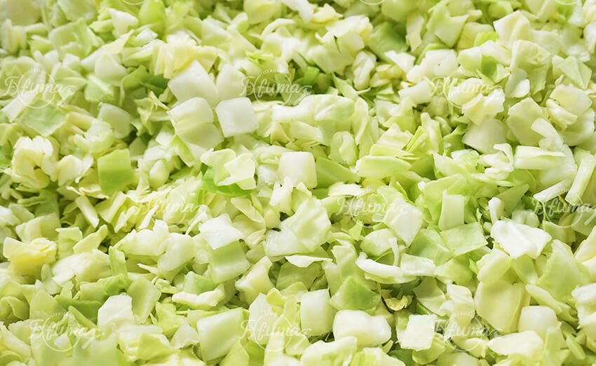 Industrial Cabbage Processing Line: Dicing, Vortex Washing & Centrifugal Drying