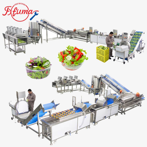 Fresh Leafy Greens Vegetable Salad Production Line