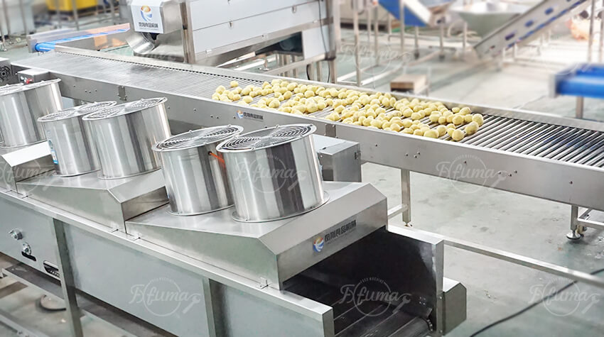 potato drying machine