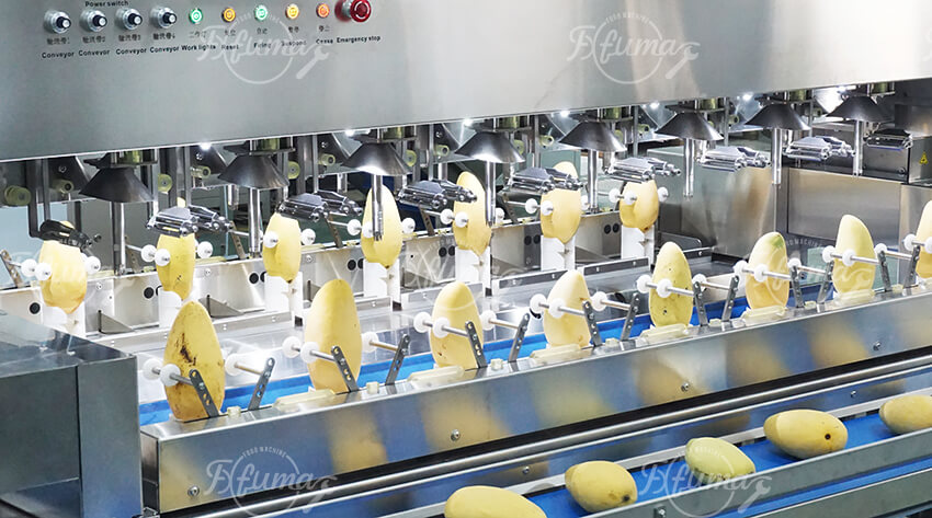 Mango Peeling Coring Cutting Processing Line