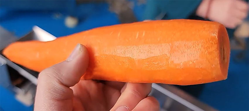 Carrot Peeling Machine
