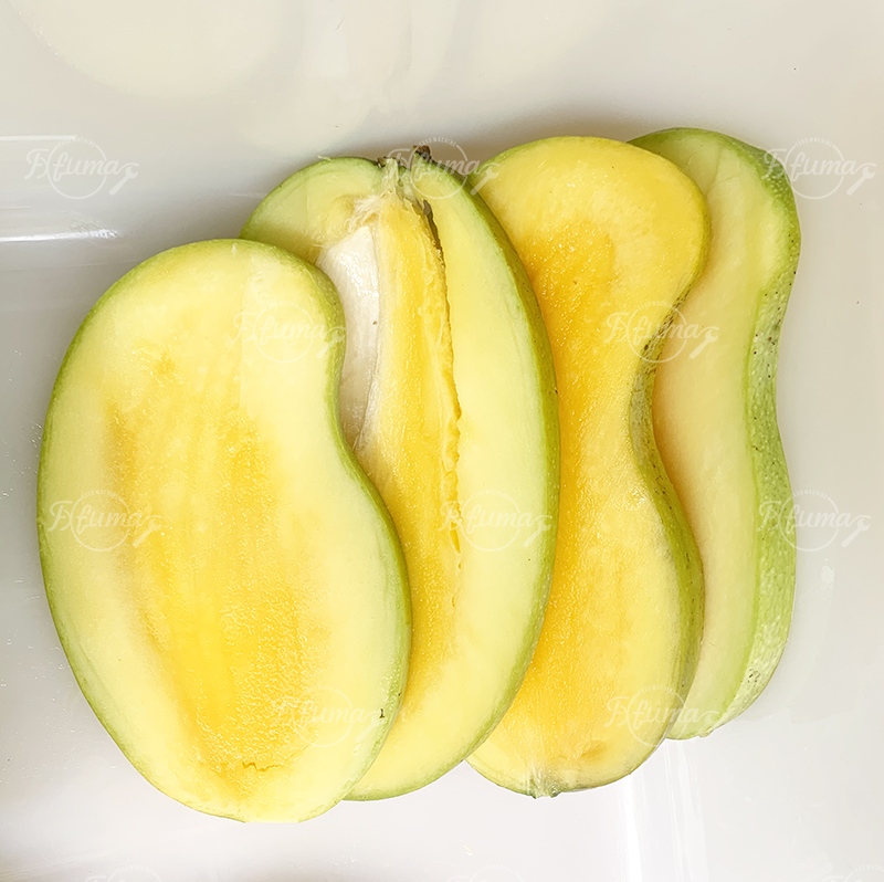 Fruit Vegetable Mango Eggplant Slicing Machine