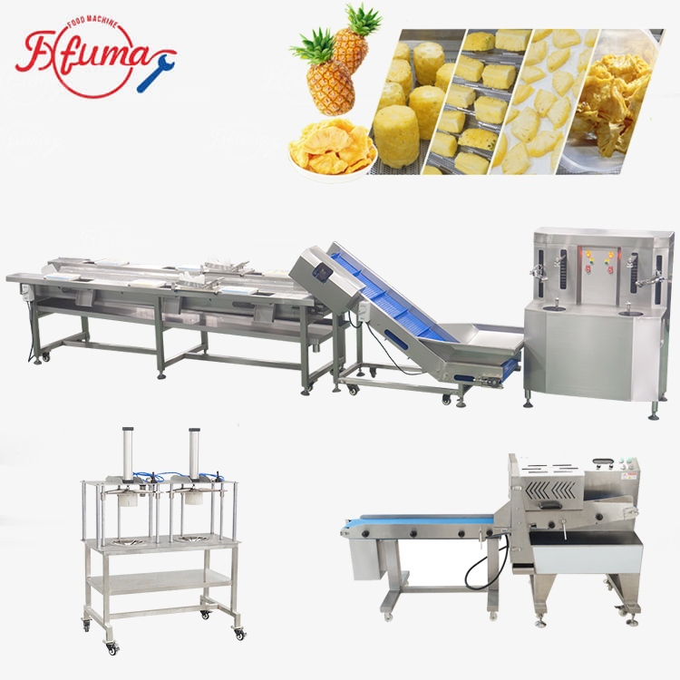 Pineapple Processing Line for Dried Fruit Production, Peeling, Cutting & Drying Solution