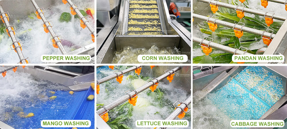 vegetable washing machine