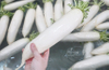 White Radish Carrot Root Vegetable Washing Cleaning Machine