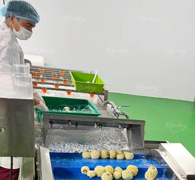 On-Site Support for Tropical Fruit Processing Line Installation