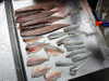 fish filleting machine