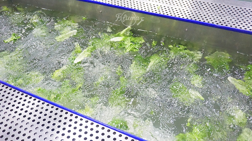 Vegetable Fruit Bubble Washing Cleaning Dehydrating Machine
