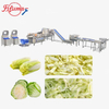 Cabbage Processing Line