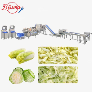 Cabbage Processing Line