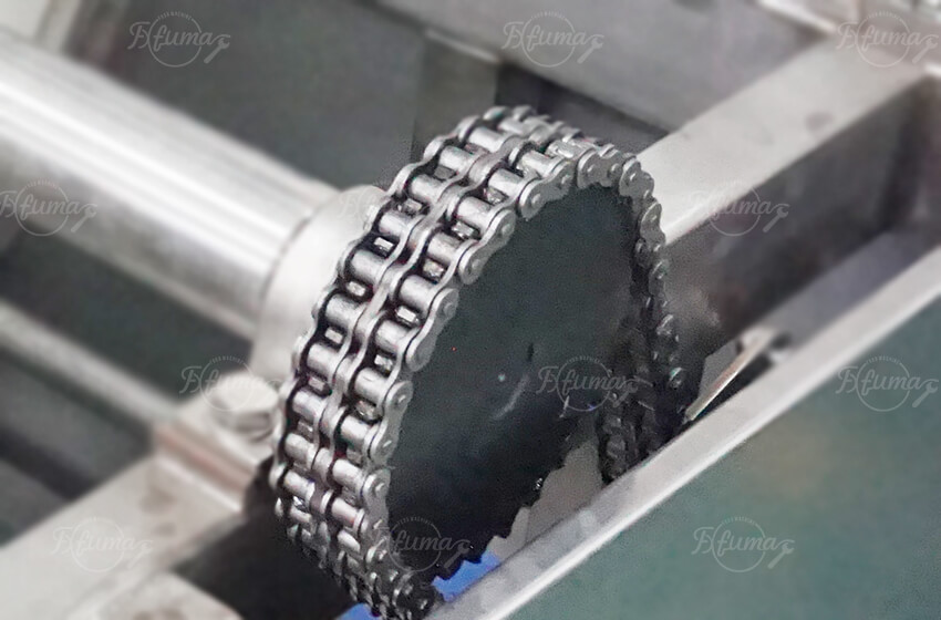 Chain-Driven Feeding System