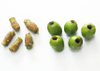 olive pitting machine
