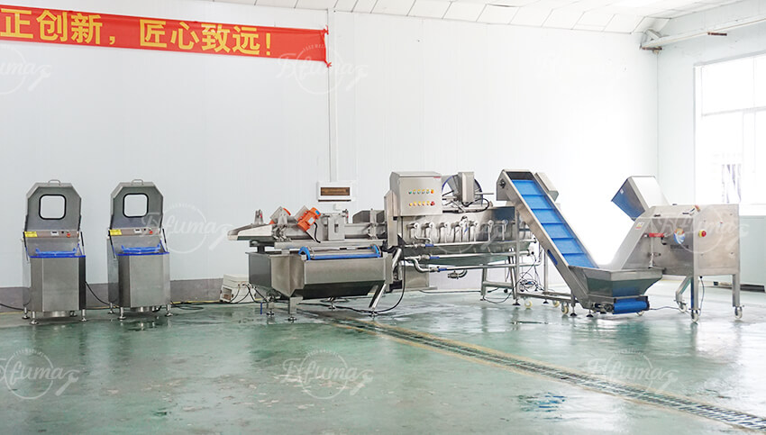 salad production line