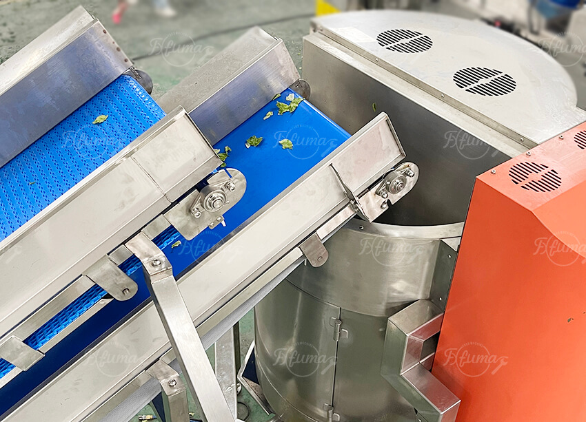 centrifugal dehydrator for fresh-cut vegetables