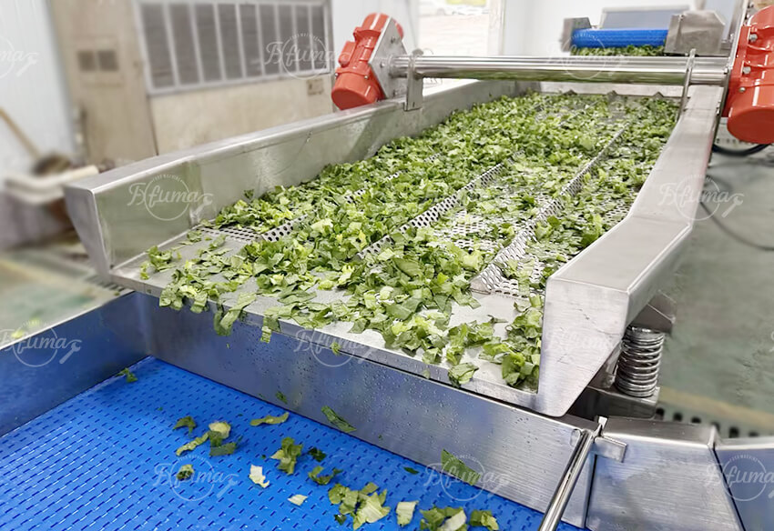 Fresh Leafy Greens Vegetable Salad Production Line