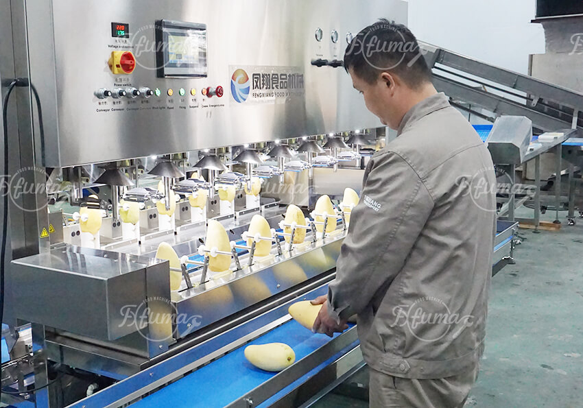 Mango Peeling Coring Cutting Processing Line