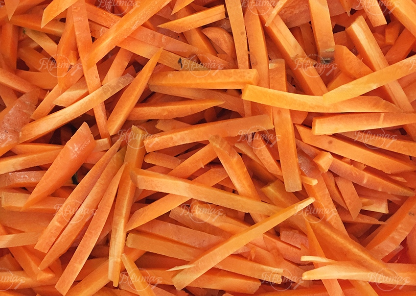 FC-502 Vegetable Fruit Carrot Sweet Potato French Fries Chips Shredding Machine