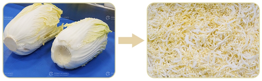 cabbage shredder