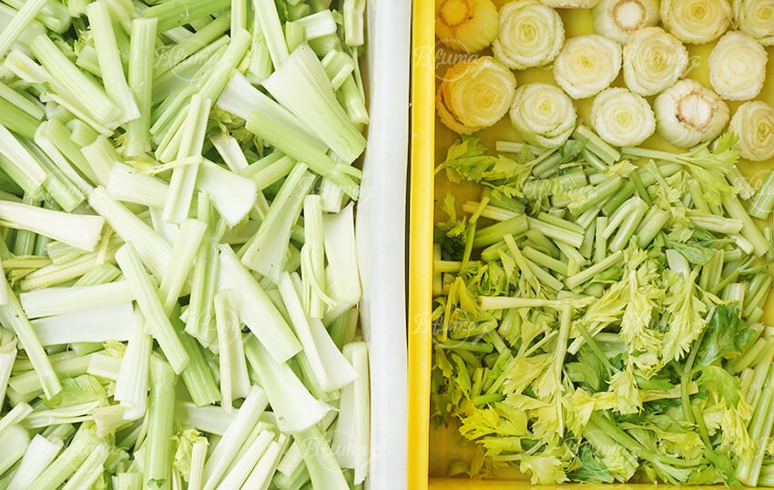 Vegetable Root Trimming and Segment Cutting Machine