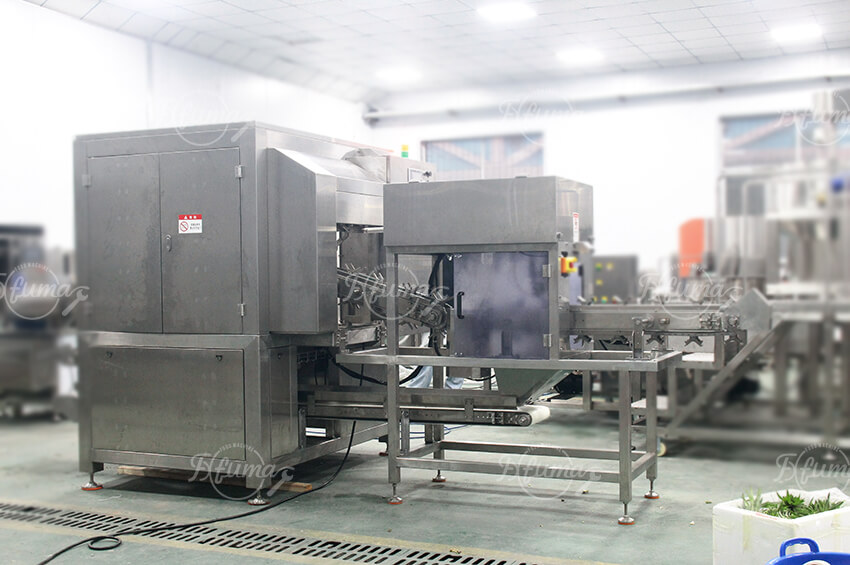 Automatic Pineapple Head And Tail Cutting Peeling Machine, Pineapple Peeling Machine