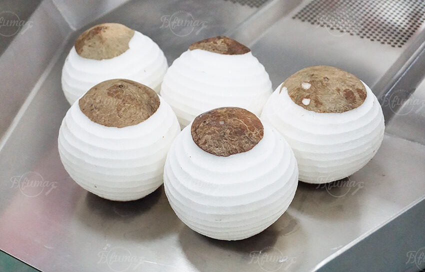 Double Head Coconut Peeling and Washing Machine for Fresh Processing Lines