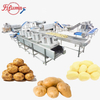 Automatic Potato Washing and Peeling Line for Industrial Potato Processing