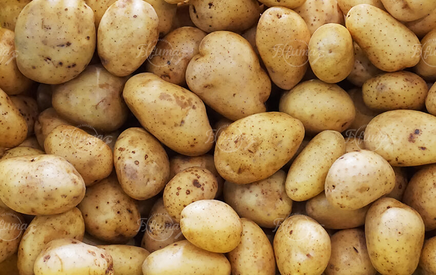 Automatic Potato Washing and Peeling Line for Industrial Potato Processing