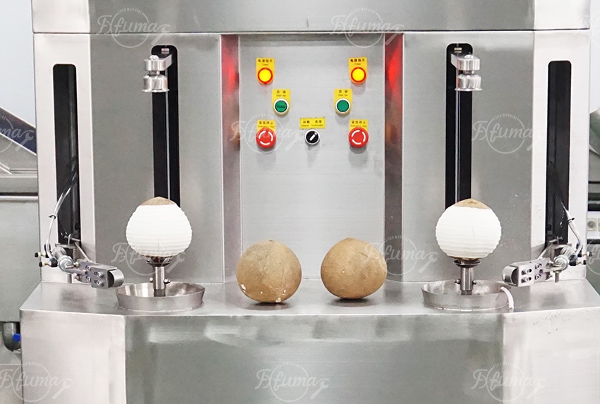 Coconut Peeling Processing Machine