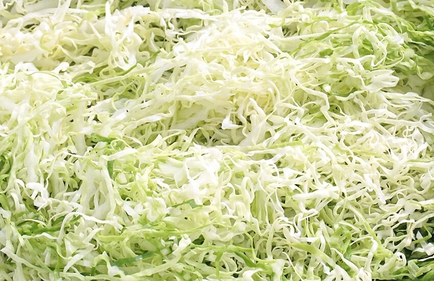 Cabbage Shredding
