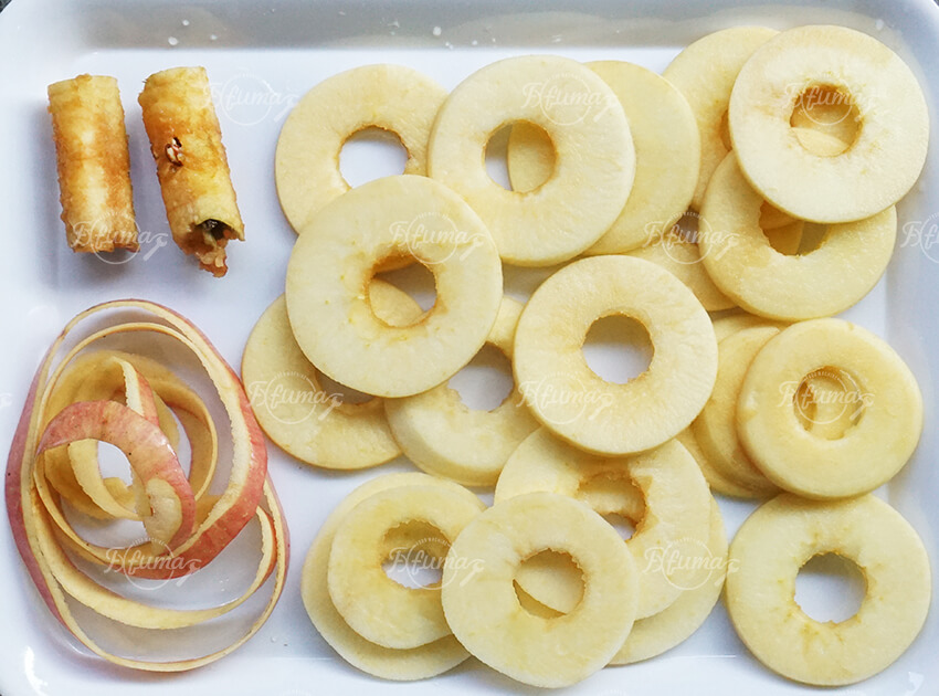 Apple Pear Fruit Peeling Coring and Slicing Machine