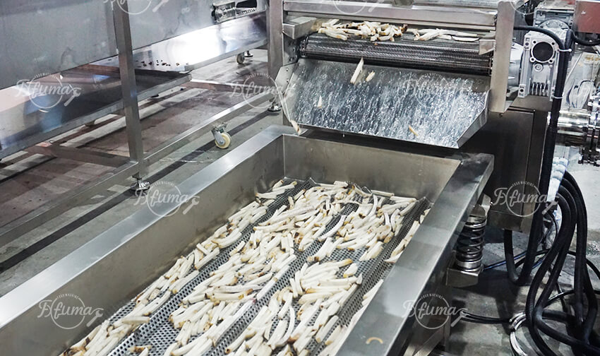 Taro Processing Line, Taro Washing Cutting Frozen Products and Packaging