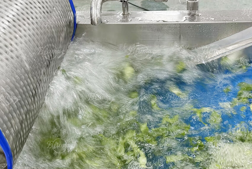 leafy vegetable washing machine