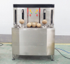 Double Head Coconut Peeling and Washing Machine for Fresh Processing Lines