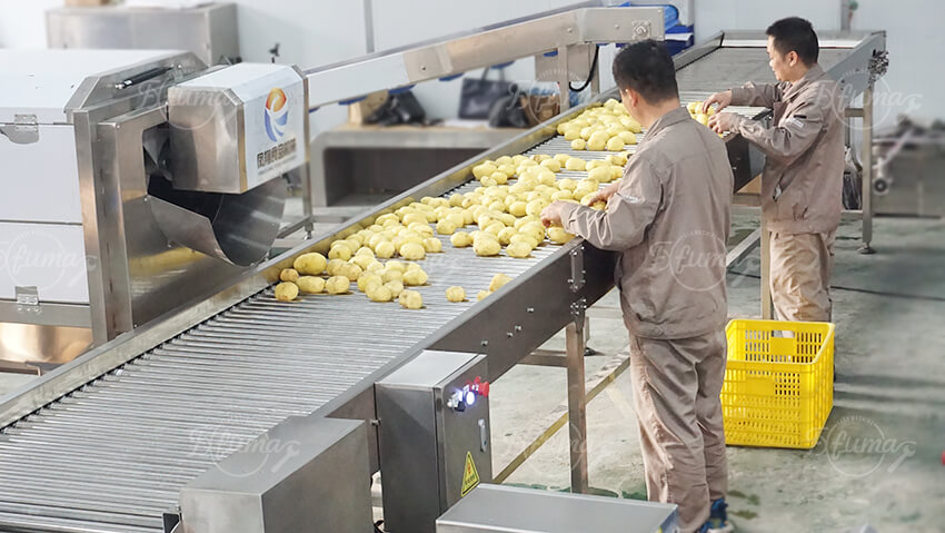 Automatic Potato Washing and Peeling Line for Industrial Potato Processing
